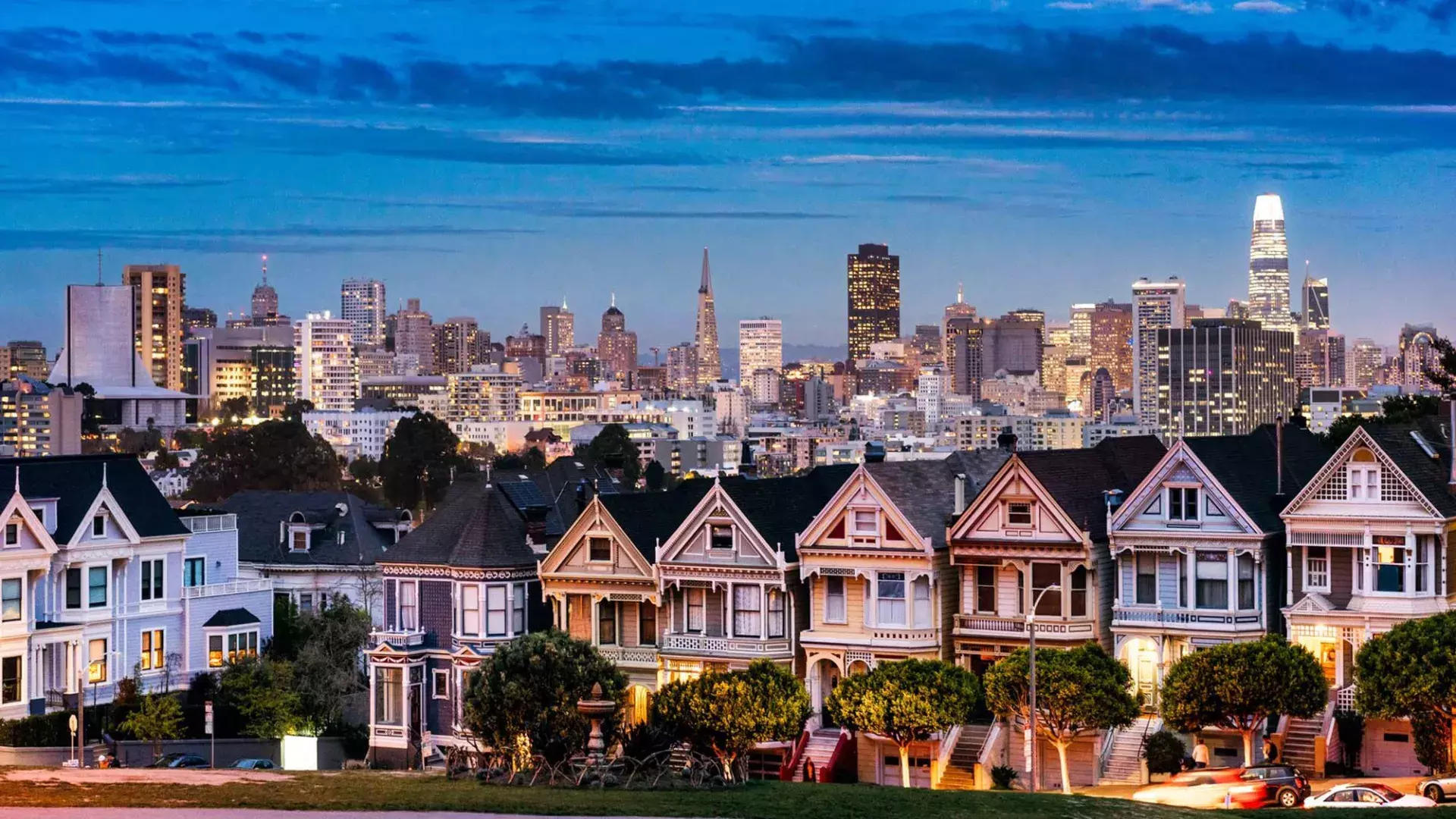 san francisco painted laides