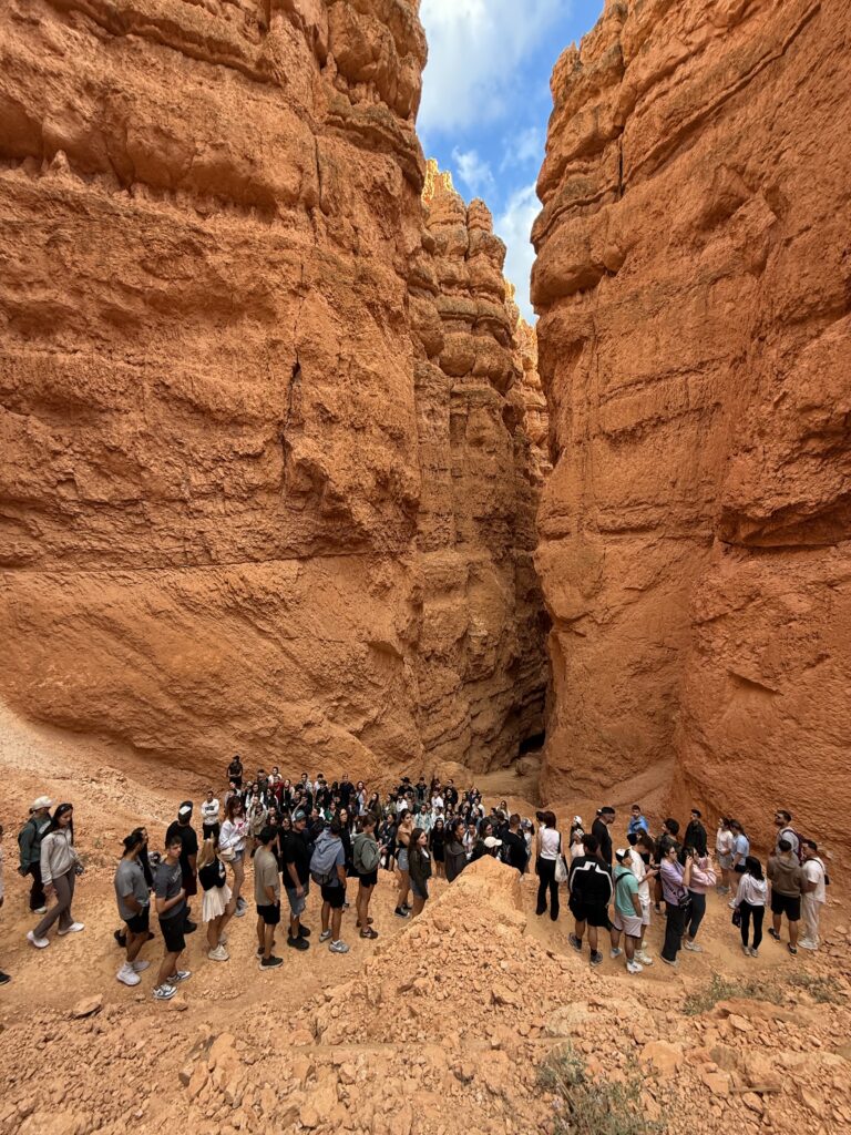 Brycef Canyone Brycef Canyone